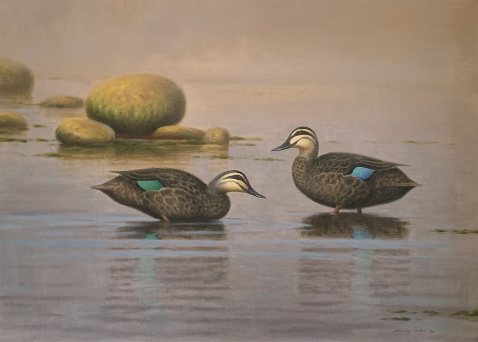 Nicolas Dillon|  High light of a Grey Day -   Grey Ducks  |McAtamney Gallery and Design Store | Geraldine NZ